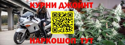 каннабис Новозыбков