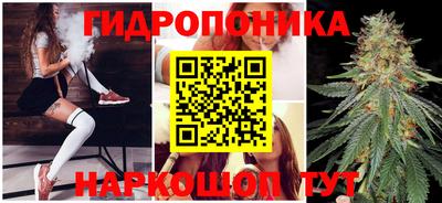 каннабис Новозыбков