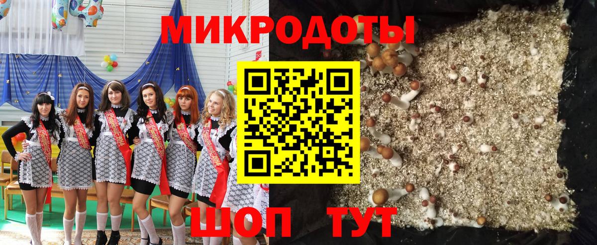 Псилоцибиновые грибы Psilocybe  Вход с VPN  Псилоцибиновые грибы MAGIC MUSHROOMS  Тверь 